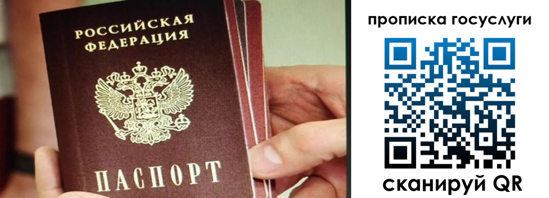пропишу в квартире в Пионерском